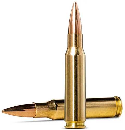 Norma Golden Target 308 <span style="font-weight:bolder; ">Winchester</span> 175 Grain Match Boat Tail Hollow Point 20 Rounds