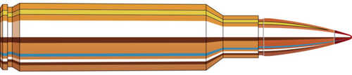 300 Winchester Magnum 165Gr CX Spf 20/Box