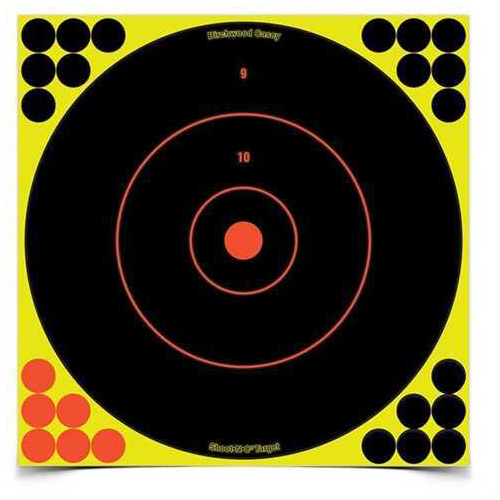 Birchwood Casey Shoot-N-C Targets: Bull's-Eye SRC-5 12" Round 200 Yard (5 Pack) 34012