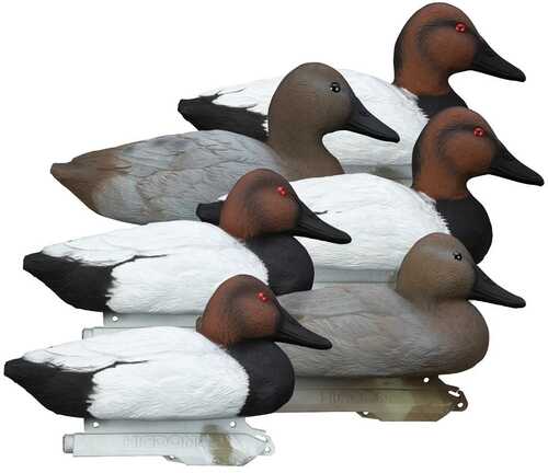 Higdon Outdoors Standard Canvasback Foam Filled 6Pk