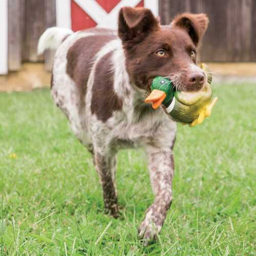 PetSafe Sportsmen Squeeze Meeze Duck