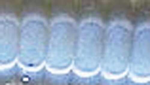 Click to see larger image. Deadly Dudley Lure 10 Per Pack 3.5" Blue Moon Md#: DD-207