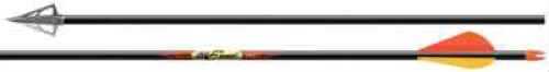 Easton Outdoors ST Excel 340 Fletched 2in Blazer Boxed 598400