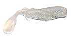 Click to see larger image. Edge Products Hybrids Marsh Minnow 3in 10pk Smokin Magic Md#: M38800