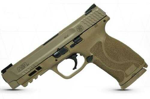 Smith and Wesson Semi-Auto Pistol MP45 M2.0 FDE 45 ACP 4.6 TFX 11769 | 10+1|TRUGLO SIGHTS Barrel 4.6"