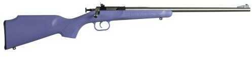 Keystone Sporting Arms Rifle Crickett 22LR 16" Stainless Steel Barrel Purple Synthetic Stock