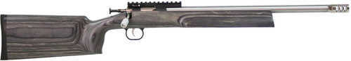 Crickett XBR 22 Long Rifle 16.1" Barrel Single Shot Stainless Steel Finish
