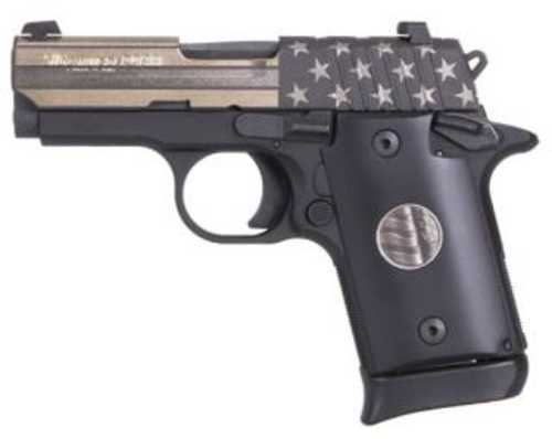Sig P938 Pistol 9mm Stand 6 And 7 Round Mag Sig Light
