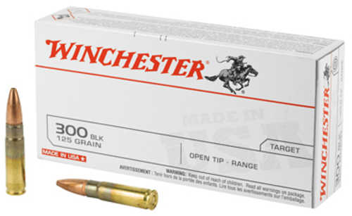 300 AAC Blackout 20 Rounds Ammunition Winchester 125 Grain Full Metal Jacket