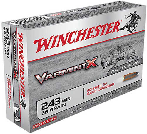 243 Winchester 40 Rounds Ammunition 77 Grain Ballistic Tip