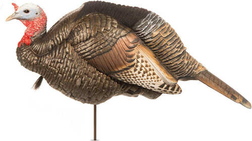 Dave Smith Decoy 3/4 Strut Jake Model: JAK