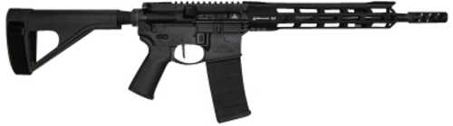 Rise Armament Watchman Pistol 223 Wylde 11.5" Barrel 30 Round Black SBA3 Brace Stock