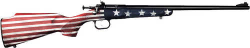 Crickett Rifle G2 .22LR Old Glory 16.125 in barrel rd capacity red white and blue synthetic finish