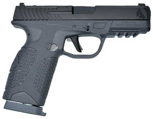 Avidity Arms PD10-OC Semi-Automatic Pistol 9mm Luger 4" Barrel (2)-10Rd Magazines Matte Black Slide Gray Polymer Finish