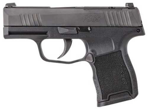 Sig Sauer P365 Striker Fired Semi-Automatic Pistol .380 ACP 3.1" Barrel (2)-10Rd Magazines Stainless Steel Slide Black Polymer Finish