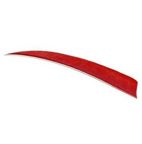 Trueflight Mfg Comp Inc Feathers Shield Cut 5 RW Red 100/Pk.