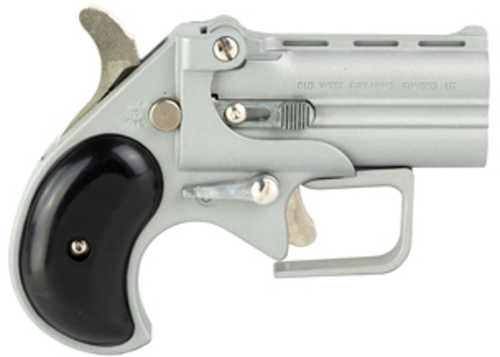 Old West Short Bore Derringer Guardian Package .38 Special 2.75" Barrel 2 Round Capacity Black Synthetic Grips Silver Satin Finish
