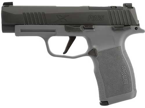 Sig Sauer P365 XL Semi-Automatic Pistol 9mm Luger 3.7" Barrel (2)-12Rd Steel Magazines Black Stainless Slide Gray Polymer Finish