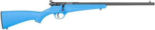 Savage Arms Rascal F-SR 22 LR 1rd 16.13" Matte Black Single Shot Threaded Barrel, Blue Synthetic Stock, Right Hand