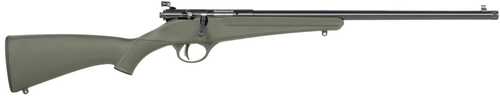 Savage Arms Rascal F-SR 22 LR 1rd 16.13" Matte Black Single Shot Threaded Barrel, Green Synthetic Stock, Right Hand
