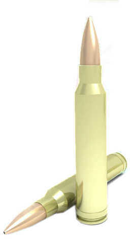 300 Winchester Magnum 20 Rounds Ammunition Dynamic Research Technologies 200 Grain Boat Tail Hollow Point