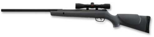 Gamo Big Cat Air Rifle 22PEL 975Fps Black Synthetic 4X32 Scope And PBA Platinum Pellets Box Single Shot 611004855554