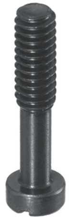 Ruger 10/22 Takedown Screw (B65)