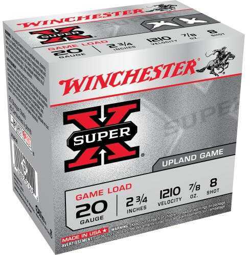 20 Gauge 25 Rounds Ammunition Winchester 2 3/4" 7/8 oz Lead #8