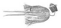 Click to see larger image. Z-Man / Chatterbait Bait 3/8 Ounce Shad/Blue Glimmer Lure Md: CB38-07