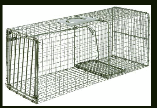 Duke Wildlife Traps Heavy Duty Cage 30x12x12 Raccoon