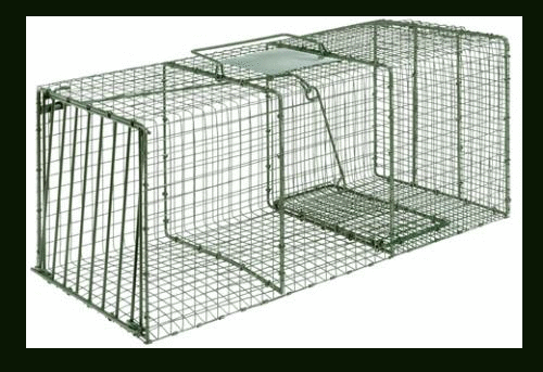 Duke HD X-Large Heavy Cage Live Trap Steel Green 36" 15" 14" Coon-img-0