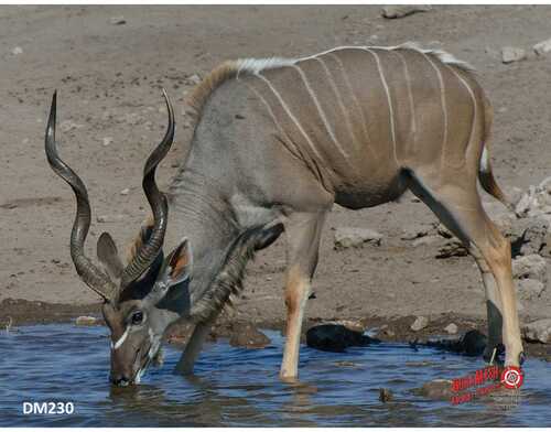 DuraMesh Archery Target Kudu 25 in. x 32 in