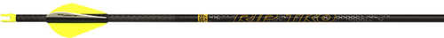 Victory RIP TKO Elite Low Torque Shafts 200 1 doz.