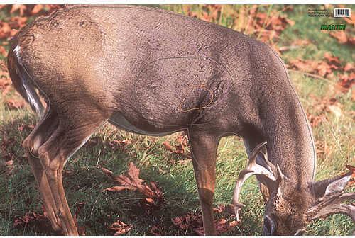 Martin Archery Inc. Paper Targets Whitetail 11606