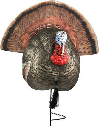 The Grind 1/4 Strutter Turkey Decoy