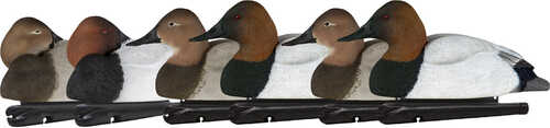 AvianX Top Flight Duck Decoys Canvasback 6 pk.-img-0