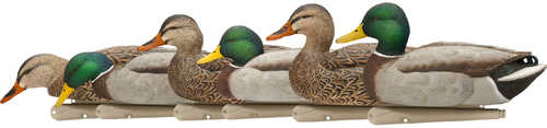 AvianX Top Flight Duck Decoys Fusion Mallards 6pk.