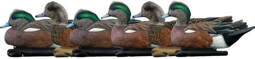 AvianX Top Flight Duck Decoys Wigeon 6 pk.-img-0