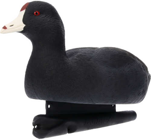 Avian X Topflight Floating Decoy Coot Model:-img-0