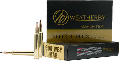 Weatherby Rifle Ammo 300 WBY 170 gr. Hammer Custom 20 rd. Model: M300170HCB