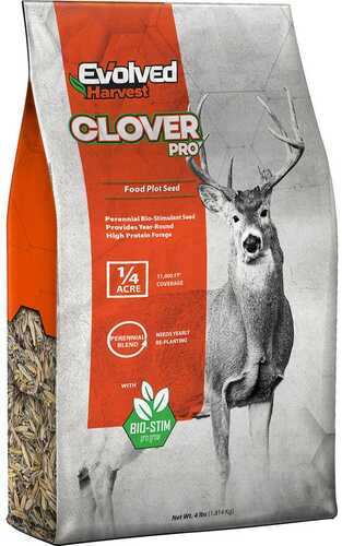 Evolved Clover Seed 4 lb.