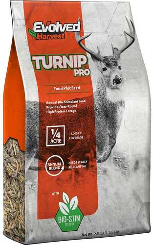 Click to see larger image. Evolved Turnip Seed 2.5 lb.