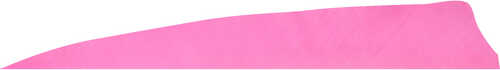 Gateway Shield Cut Feathers Flo Pink 4 in. LW 50 pk.