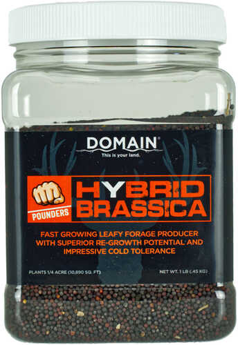 Domain Hybrid Brassica Pounder Seed 1/4 Acre Model: DHBS1LB