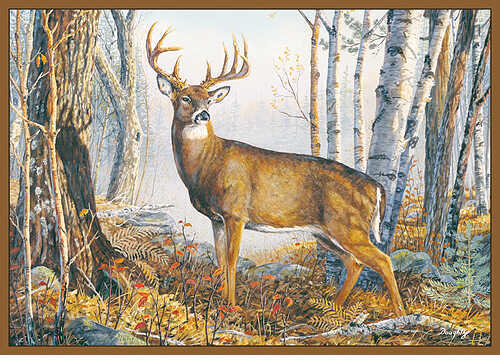 CUSTOM PRINTED RUGS CR Whitetail Deer Nylon 37x52 24536