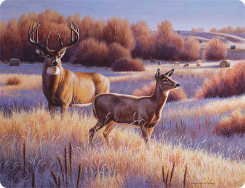 Click to see larger image. Rivers Edge Tempered Glass Deer Cutting Board 16x12
