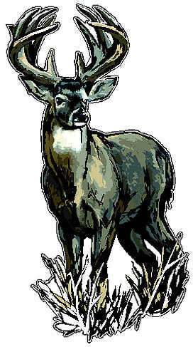 LVE HUNTING DECALS LLC Large Camo - Deer 30692