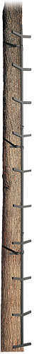 Big Dog Treestands Climbing Sticks - 16ft. 4 Section 35729