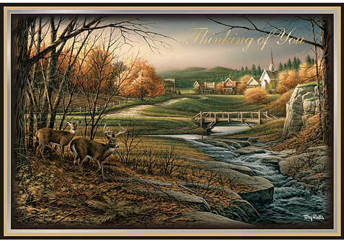 WILD WINGS Deluxe Greeting Cards - Indian Summer 5.5''x8'' 18/pk. 4714552514