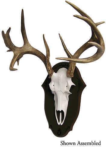 Mountain Mikes Reproductions Black Forest Deer Plaque Kit 49596